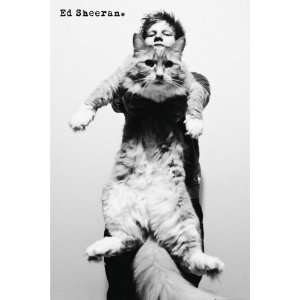   Rock Posters Ed Sheeran   Cat   35.7x23.8 inches