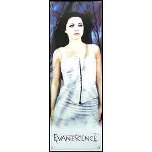  Evanescence   Posters   Door