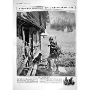   1908 EAGLE HUNTING ALPS SWITZERLAND LUDGATE GUY FAWKES