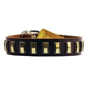  Dean & Tyler Leather New 2011 Dog Collar Brass Line 