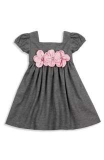Sweet Heart Rose Short Sleeve Dress (Toddler)  