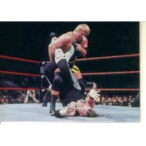   Superstarz Trading Card #18  Owen Hart 