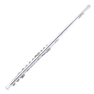   Nickel Plated Student C Flute w/ Spilt E Key +Stand+Tuner+Book  