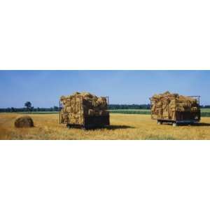 Heap of Hay Bales in Horse Carts, Grand Rapids, Kent County, Michigan 