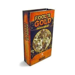  GeoCentral   Fools Gold Excavation Kit Toys & Games