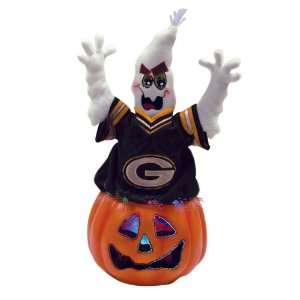   Bay Packers Fiber Optic Halloween Ghost Decorations