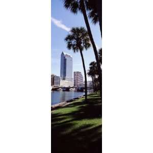  Buildings Viewed from the Riverside, Hillsborough River 