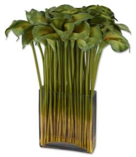 Green goddess calla lilies are vibrant and fresh in a modern, clear 