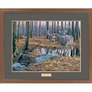 Jim Kasper   After the Rain   Whitetail Deer Framed