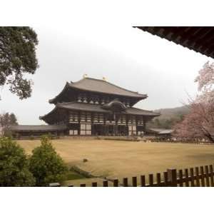 Cherry Blossoms, the Great Buddha Hall, Todaiji Temple, Nara, Honshu 