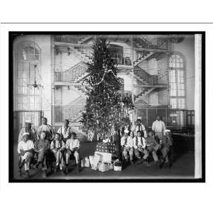    Historic Print (M) Jail Christmas tree, 1919