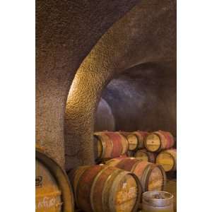 Barrels in Cellar at Long Meadow Ranch Winery, Ruthford, Napa Valley 