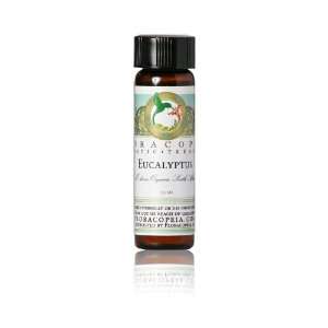  Eucalyptus Dives Oil 1/2 oz (15 ml) Health & Personal 