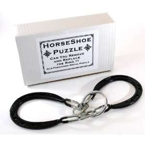  Horseshoe Puzzle _ Remove and Replace the Metal Ring Toys 