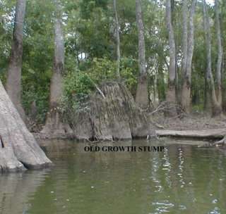 ABOUT ME THE SWAMPS of LOUISIANA items in SWAMPS of LOUISIANA store on 