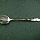 BRIDAL WREATH Oneida 8 Serving Table Spoon Tablespoon
