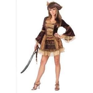 Womens Sassy Victorian Pirate Halloween Costume Womens Sz Md / Lg (10 